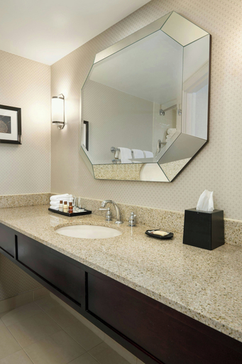 Bathroom 5, Sheraton Charlotte Airport Hotel, Mecklenburg