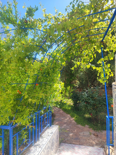 Others 3, Maison Touria, Azilal
