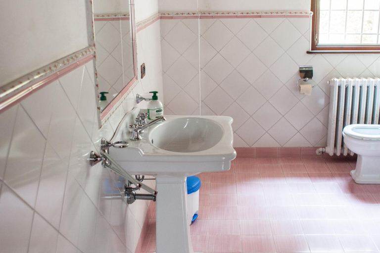 Bathroom 4, Agriturismo Aggazzotti, Modena