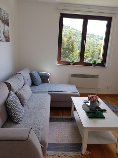 Others 4, Vila Irina Kopaonik, Raška