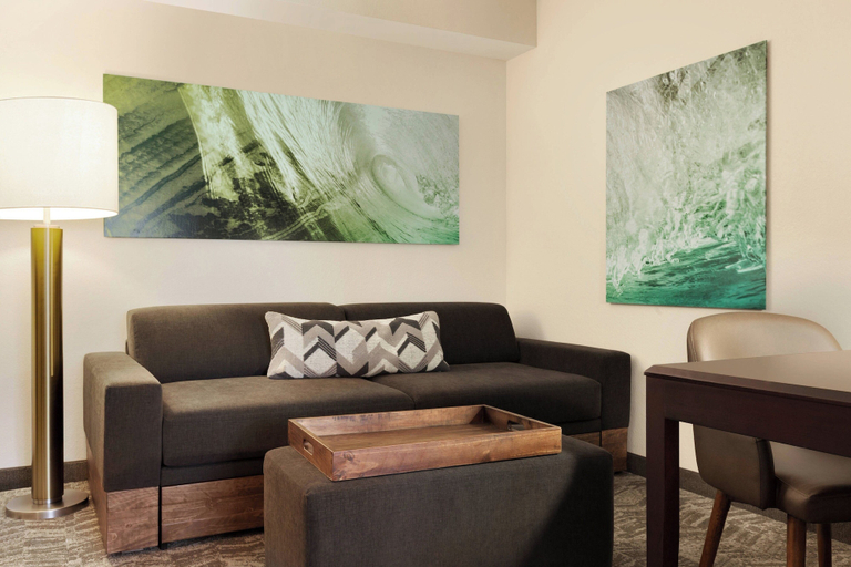 Others 5, Springhill Suites by Marriott West Palm Beach, Palm Beach