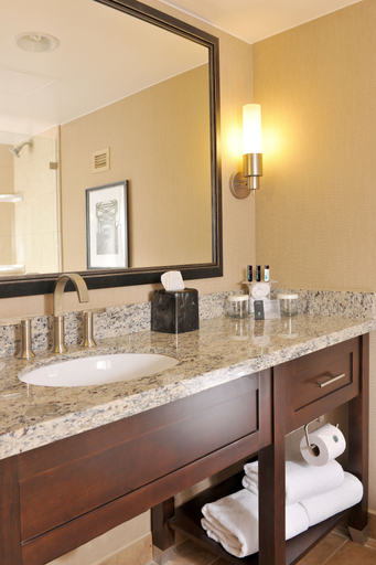 Bathroom 3, Embassy Suites by Hilton Des Moines Downtown, Polk
