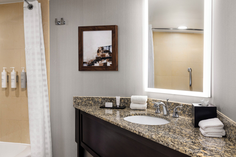Bathroom 4, Embassy Suites Hotel Birmingham, Jefferson
