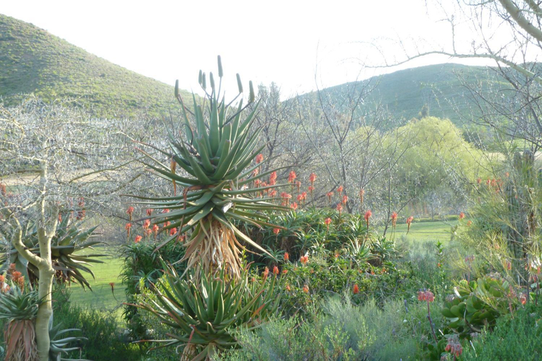 Others 5, Ladismith Country House, Eden