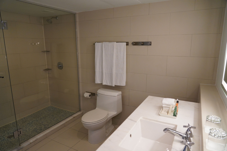 Bathroom 5, The Condado Plaza Hotel