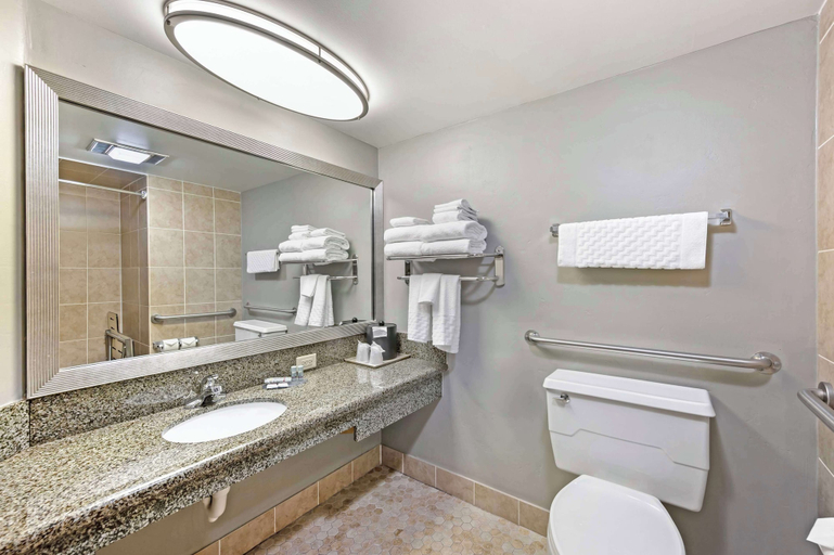 Bathroom 4, Best Western Ptarmigan Lodge, Summit