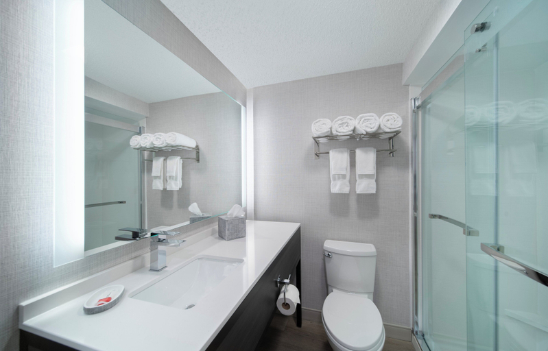 Bathroom 4, Holiday Inn Express South Burlington Downtown by IHG, Chittenden