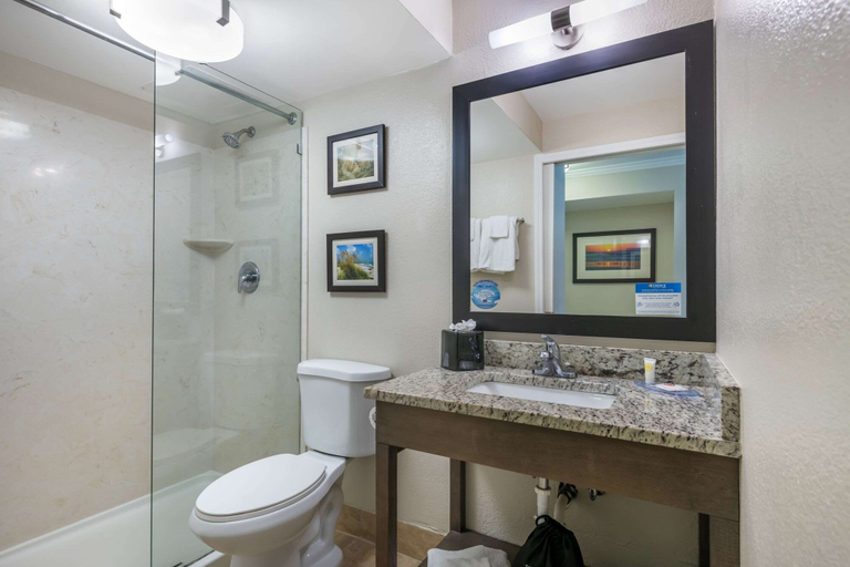 Bathroom 4, Comfort Inn & Suites Daytona Beach Oceanfront, Volusia