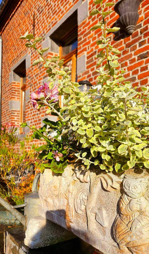 Others 2, Le Clos de la Belle Loge Location de studio, Nord