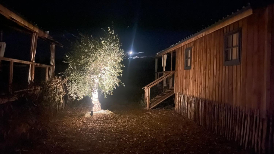 Exterior view 2, Lodges dans les vignes Domaine Terre des Mages, Hérault