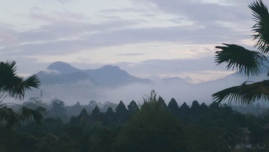 Scenery