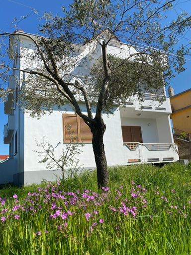Others 4, Kiwi Villa - Shkoder, Shkodrës