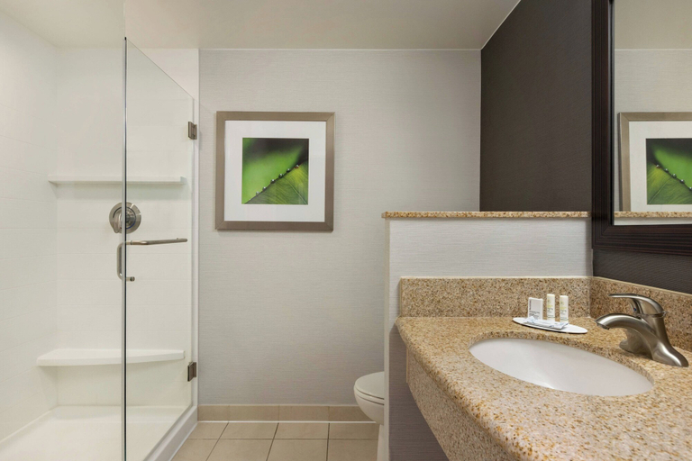 Bathroom 5, Courtyard Marriott Greenville, Pitt