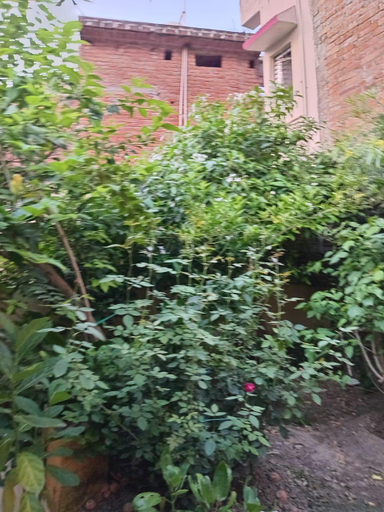 Others 5, Sandhya Guest House, Faizabad