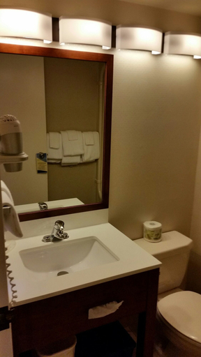 Bathroom 4, Comfort Inn, Fraser Valley