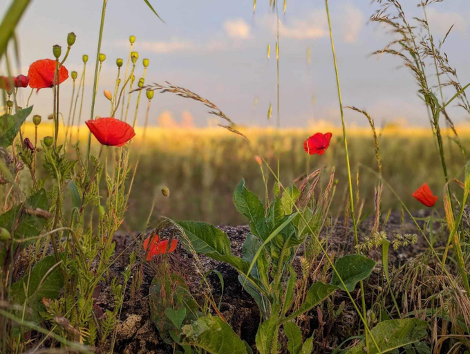 Others 3, Les atypiques, Gironde