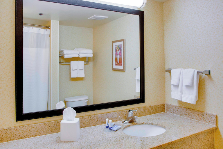 Bathroom 3, Fairfield Inn & Suites by Marriott South Hill, Mecklenburg