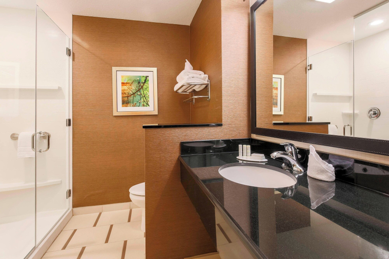 Bathroom, Fairfield Inn & Suites Pleasanton, Atascosa