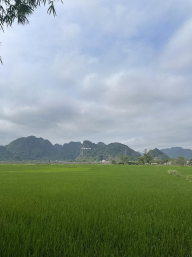 Others 4, Jungle Boss Travelodge, Bố Trạch