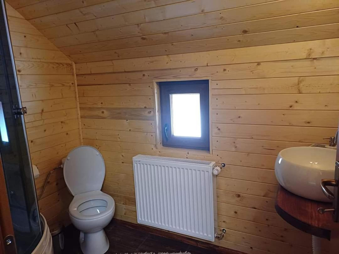 Bathroom 3, Pensiunea Vanatorul, Damuc