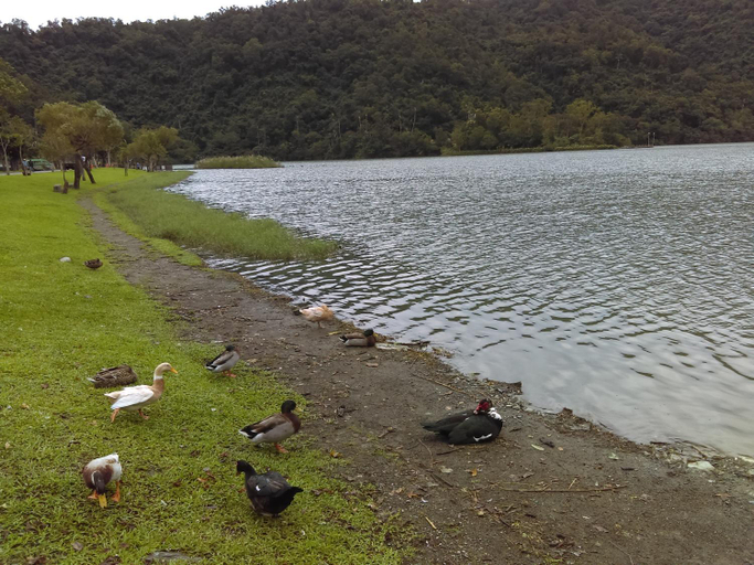 Scenery 18