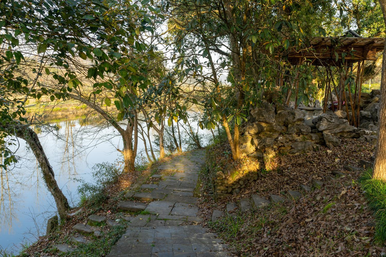 Others 5, 黄山沐心弈园生态文化主题民宿, Huangshan