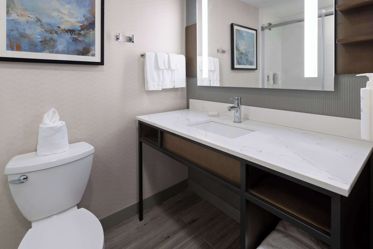 Bathroom 4, Hilton Garden Inn Winston-Salem/Hanes Mall, Forsyth