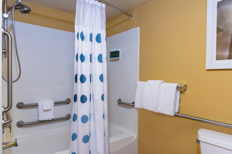 Bathroom 3, Towneplace Suites by Marriott East Lansing, Ingham