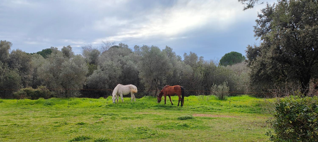 Others 3, La Maison l'Oliveraie, Hérault