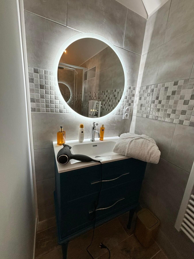 Bathroom 4, Le domaine de Darvoy, Loiret