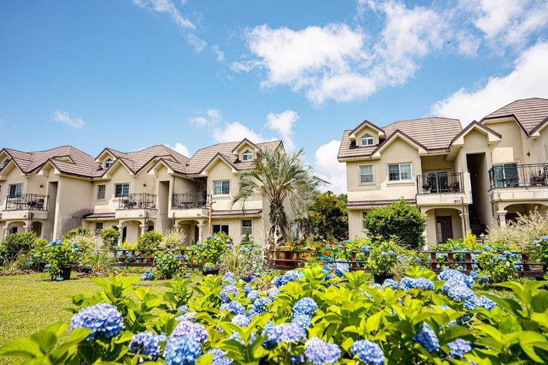 Exterior view 4, Spabellis, Jeju