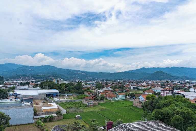 Scenery 6