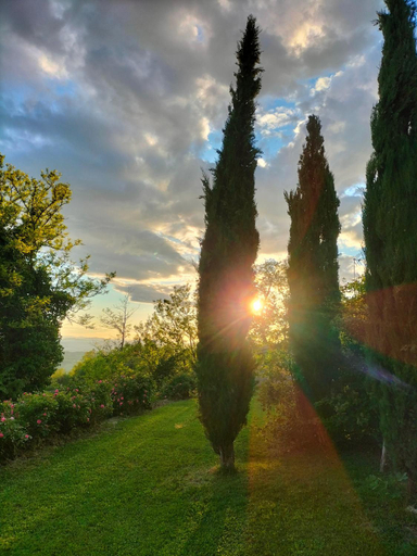 Others 4, Villupa Country House- Bed & Breakfast, Forli' - Cesena