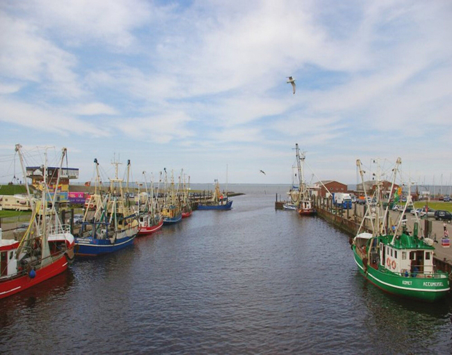 View from property 4, Haus in Nessmersiel am Wattenmeer, Aurich