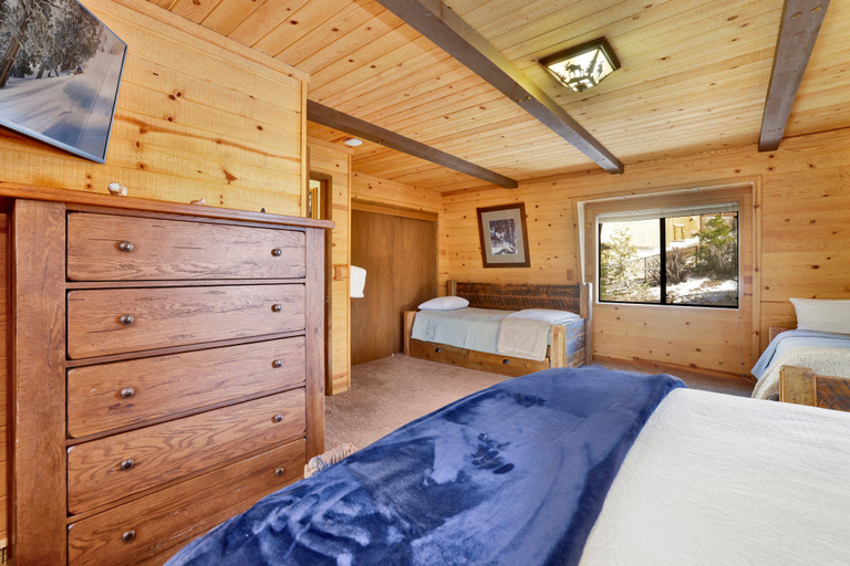 Others 5, Big Cub Cabin #2521, San Bernardino