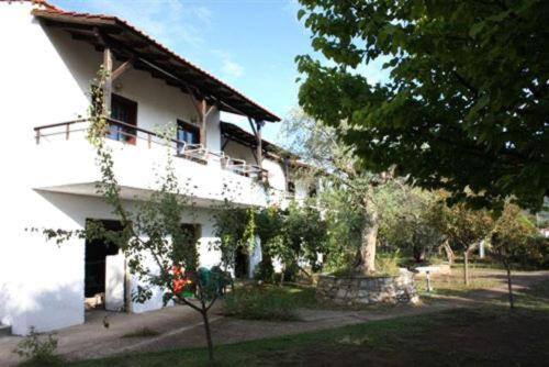 5, Olive Studios and Apartments, East Macedonia and Thrace