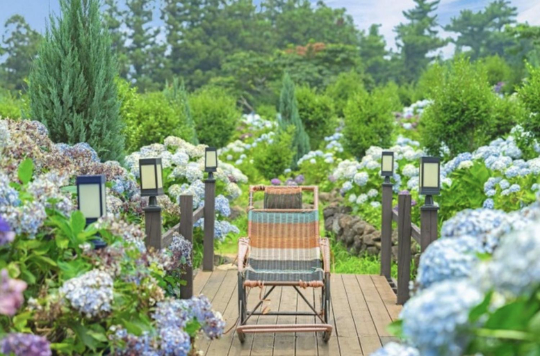 5, Spabellis, Jeju