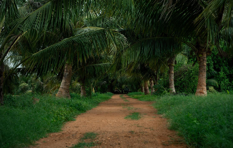 Others 2, Jardz My Retreat, Tiruchirappalli