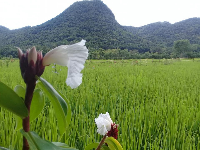 Tado Homestay - Tap to explore photos