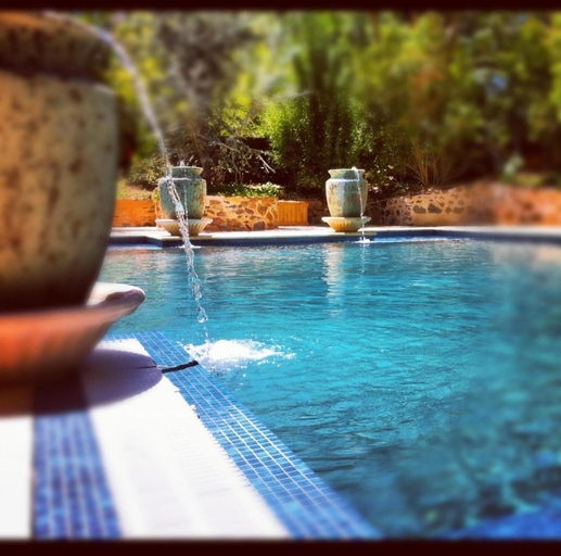 Sport & Beauty 2, Jacobs Creek Retreat at Moorooroo Park, Barossa - Tanunda