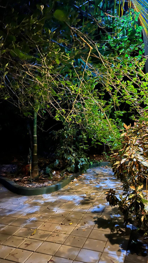Others 2, Greenland Cottage, Ernakulam