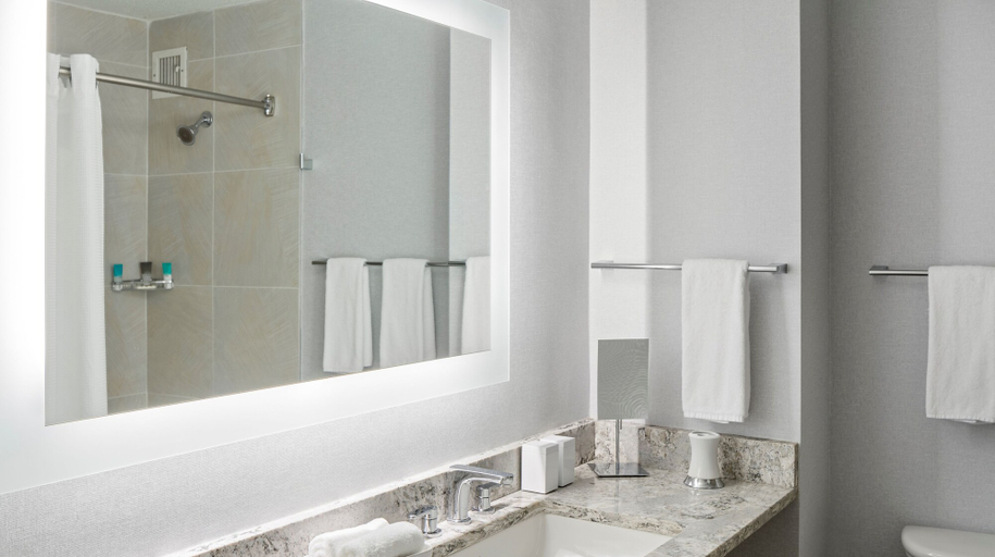 Bathroom 4, Hyatt Regency Greenville, Greenville