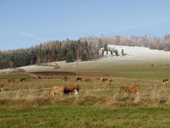 Others 3, Pod kasztanem gospodarstwo agroturystyczne, Kłodzko