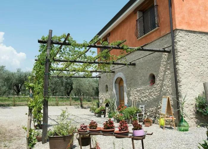 5, Antico Palmento, Salerno