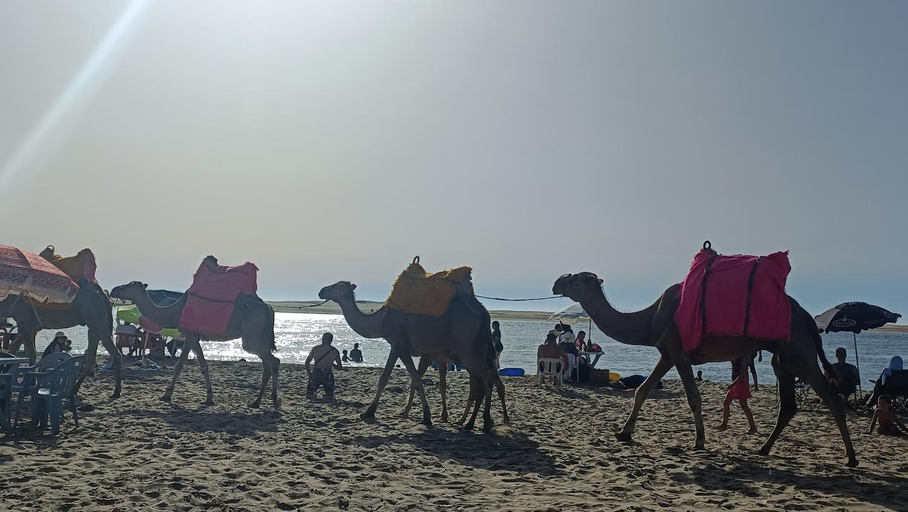 Others 5, Apartamentos Beach Tahadart, Asilah, Tanger-Assilah
