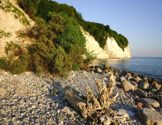 View from property 4, Ferienhaus Fiete in Lancken, Vorpommern-Rügen