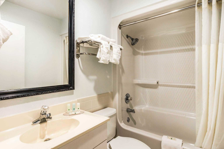 Bathroom 4, Quality Inn near Six Flags, Douglas