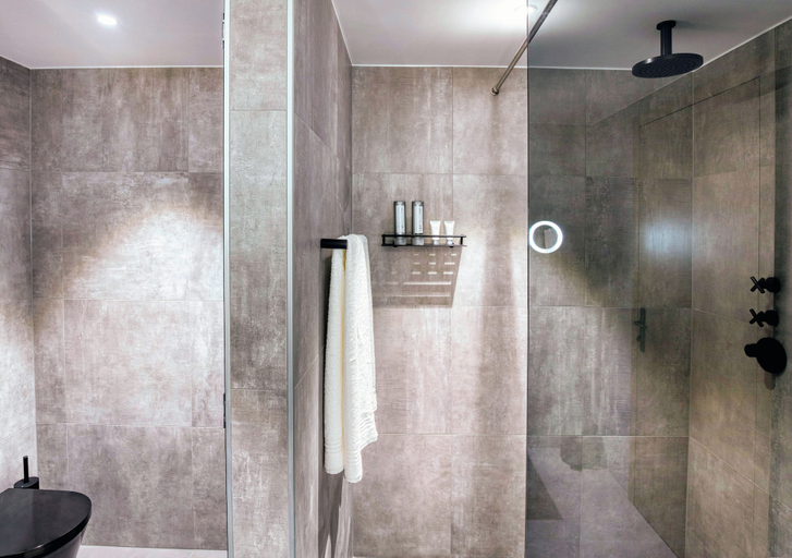 Bathroom 5, Hotel Meilenstein, Aarwangen