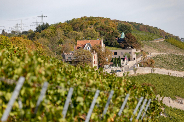 Exterior & Views 2, Schloss Steinburg, Würzburg