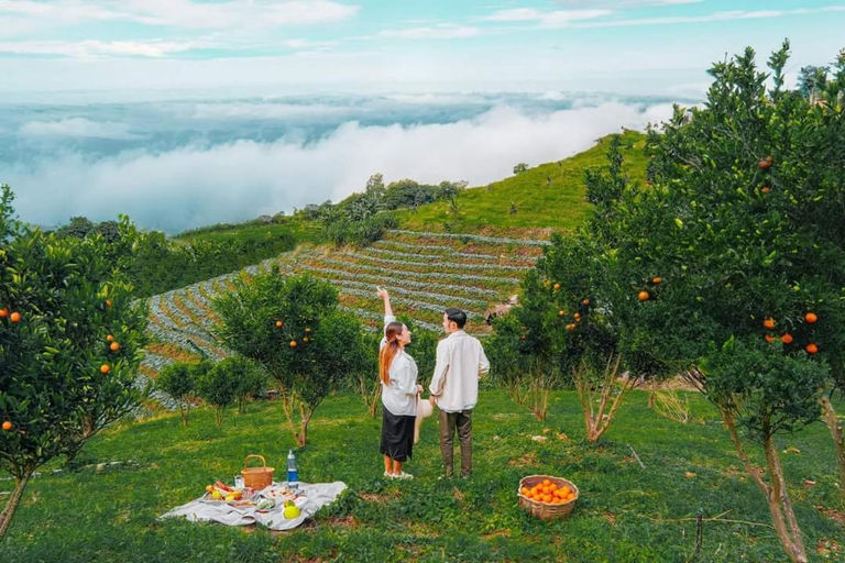 Others 3, ภูแสงเทียน โฮมสเตย์, Mae Rim